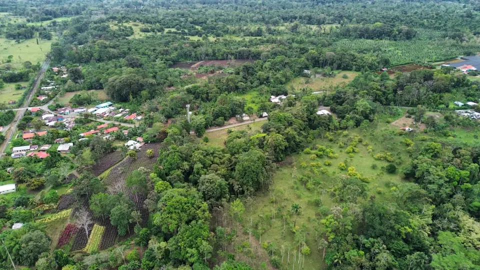 Terreno de 16,245 m² en Río Hondo de Siquirres Galería 4
