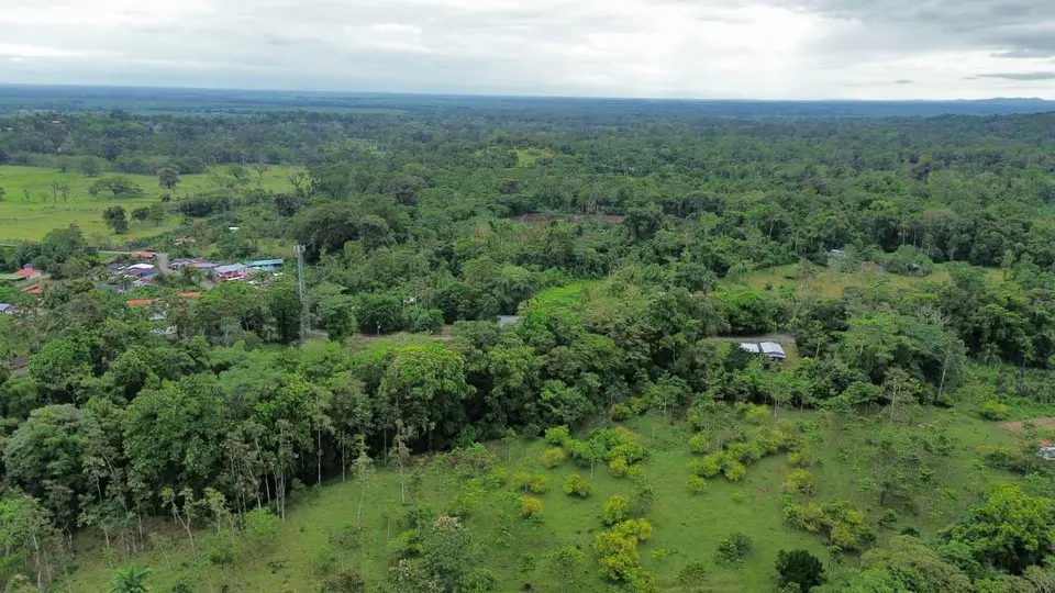 Terreno de 16,245 m² en Río Hondo de Siquirres Galería 5